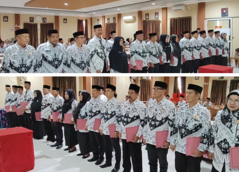 Bidang PGRI Mamberamo Tengah - Persatuan Guru Republik Indonesia Cabang Mamberamo Tengah